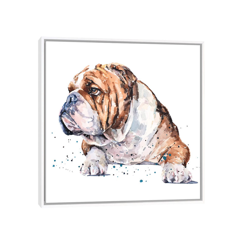 "English Bull Dog I" par Edwatercolours-impression, Toile blanche encadrée, Pas de tapis, H 18 po x l 18 po x 1,5 po
