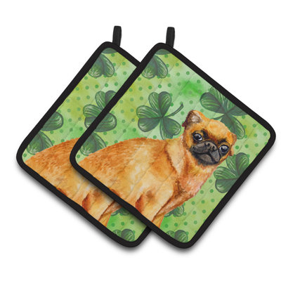Cuisinier poignée caroline st patrick brabant griffon bruxellois st patrick