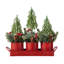 21"L Christmas Potted Triple Trees Centerpiece Or Table Tree