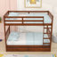 Twin-Over-Twin Bunk Bed With Storage Drawers And Ladder-629192532