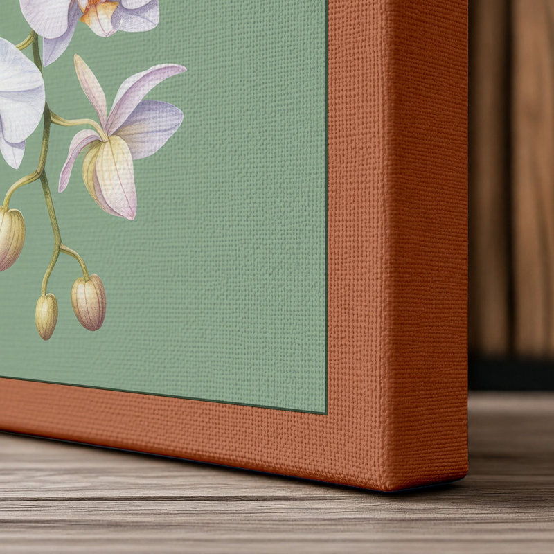 Orchid Study Botanical - Wrapped Canvas, 18x12 - 45.7 x 30.5 cm, Terracotta Border