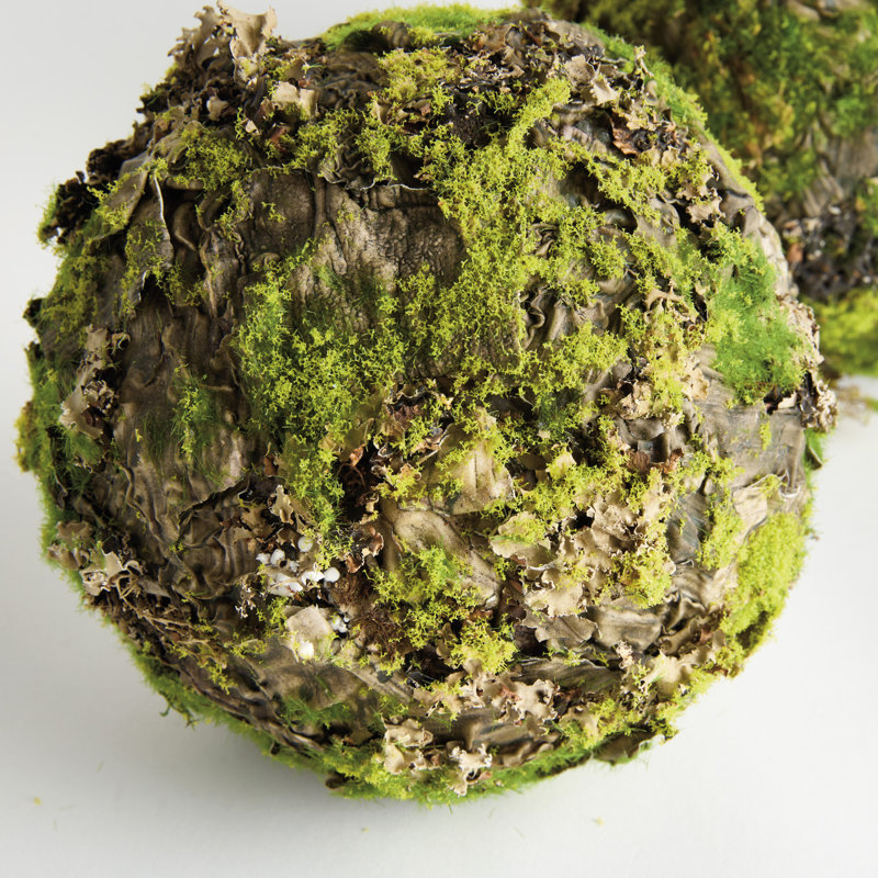 Pham MOSSY LICHEN ORBS 8" Set of 2
