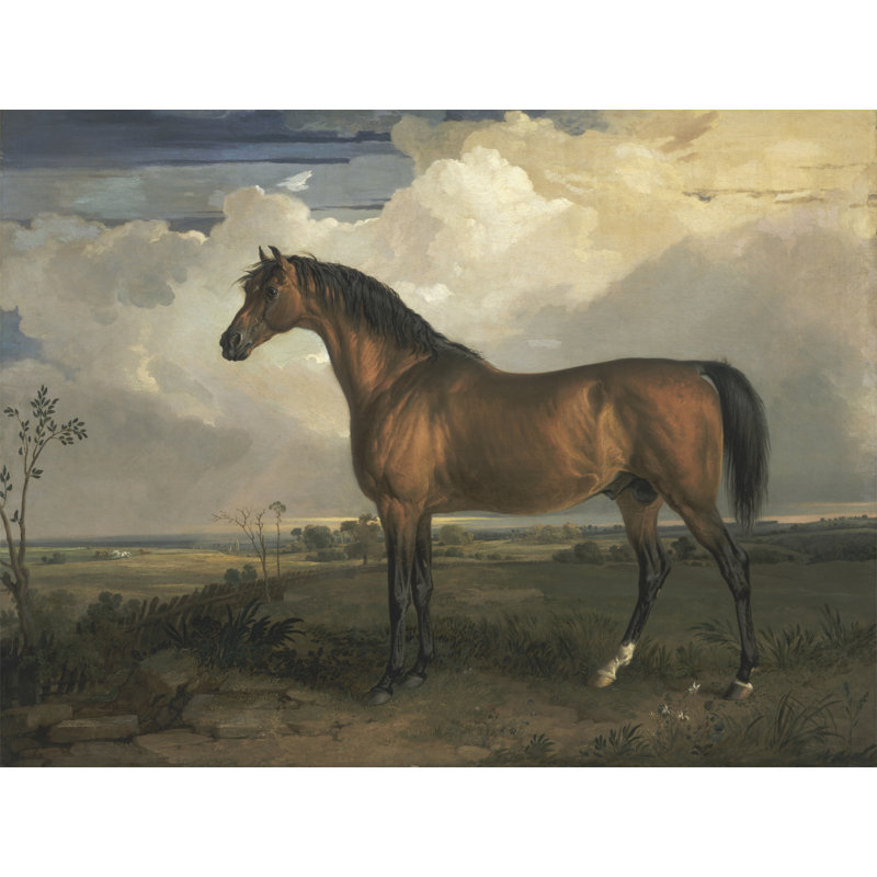 Taneal Ward's Horse In Oil II by James Ward - Wrapped Canvas Print, 81 cm H x 122 cm W