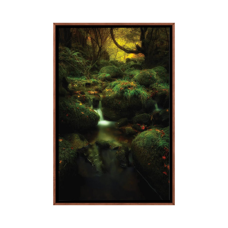 Land Of Xanes by Glendor Diaz Suarez - Floater Frame Print on Canvas