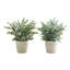 Herbe d'eucalyptus Alwin, plante en soie artificielle, ensemble de 2, 13 po, vert