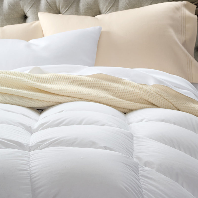 Cuddledown Percale 600FP Down Comforter, Queen, All Season