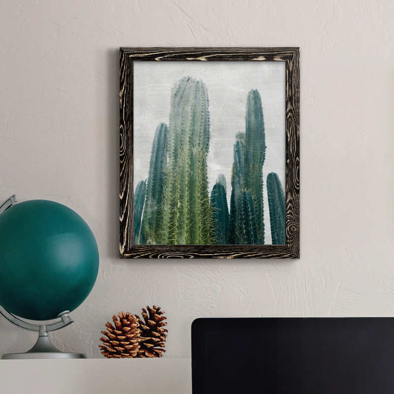 Aruba Cacti I - cadre photo, impression sur toile, Noir, H 44 po x l 31 po x P 1 po