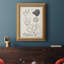 Toile encadrée Corail II antique de qualité supérieure - prête à être accrochée-2093412852