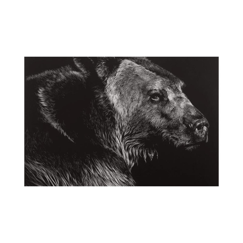 Wild Scratchboard by Julie T. Chapman - Wrapped Canvas Gallery-Wrapped Canvas Giclée, 66.04 cm H x 45.72 cm W