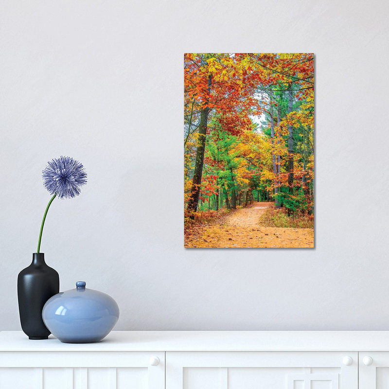 Road To Forest by Nejdet Duzen - Print on Canvas, 30.48 cm H x 45.72 cm W, Wrapped Canvas