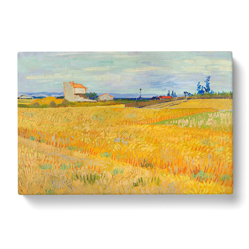 Wheat Field by Vincent Van Gogh - Wrapped Canvas, 40cm H x 60cm W x 3cm D