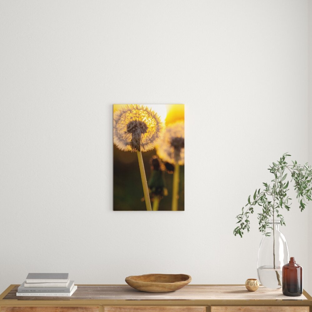 Leinwandbild Pusteblume, Fotodruck