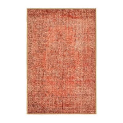 Indoor Rug