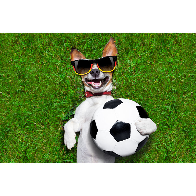 Funny German Soccer Dog - Wrapped Canvas Print, 30cm H x 46cm W