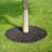 Rubber Tree Ring-70821060