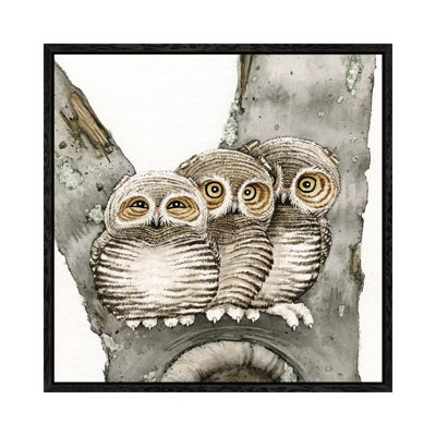 Three Owls 1 Piece Painting on Canvas