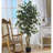 Faux Ficus Tree in Planter-62910020
