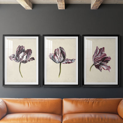 Étude de tulipes antiques I - reproduction encadrée sur mesure de qualité supérieure mate - 3 pièces
