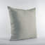Coussin Plutus-62523915-62523903