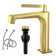 Modern Single-Hole Single-handle Bathroom Faucet with Drain Assembly