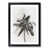 Black Framed selected