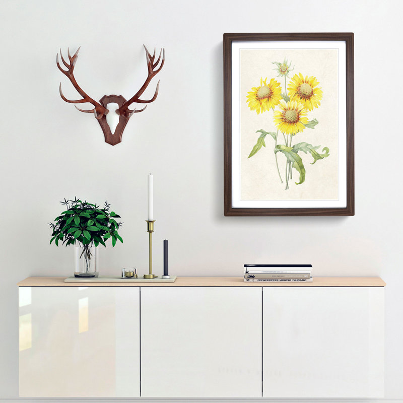 Yellow Blanket Flowers by Pierre-Joseph Redoute - Picture Frame Painting Print, 65cm H x 48cm W x 2cm D, Walnut Framed