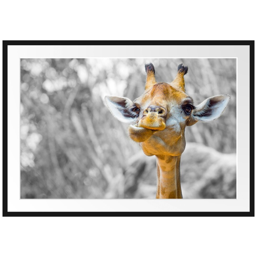 Gerahmtes Poster Giraffe in der Natur