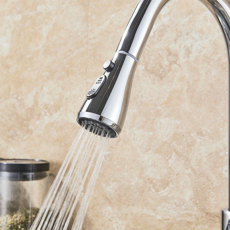 Belfry Kitchen Fitzgibbons Pull Out Kitchen Faucet