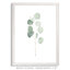 « mou eucalyptus branch i » par paul cezanne-cadre photo, reproduction d’art-693925080-693925085-693953563