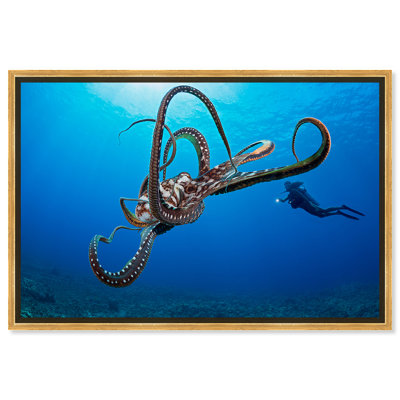 " Diver And An Octopus " by David Fleetham