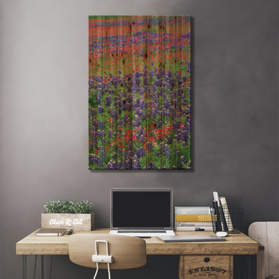 Sable Bluebonnet et fleurs de pinceau, Hill Country, Texas III