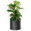 Ceramic Planter