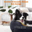 Hillsboro Pet Bed