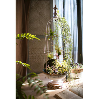 Cage à oiseaux décorative en fer Samira