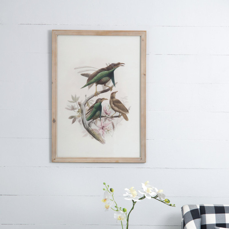 Oiseau, reproduction encadrée
