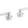 Coralais Decorative Lever Handles with Polished Chrome Insert