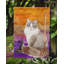 Ck3190gf de jardin sibérie halloween flag