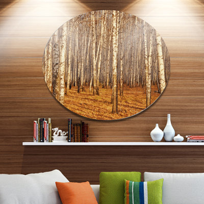 «Dense Birch Forest in the Fall», photographie