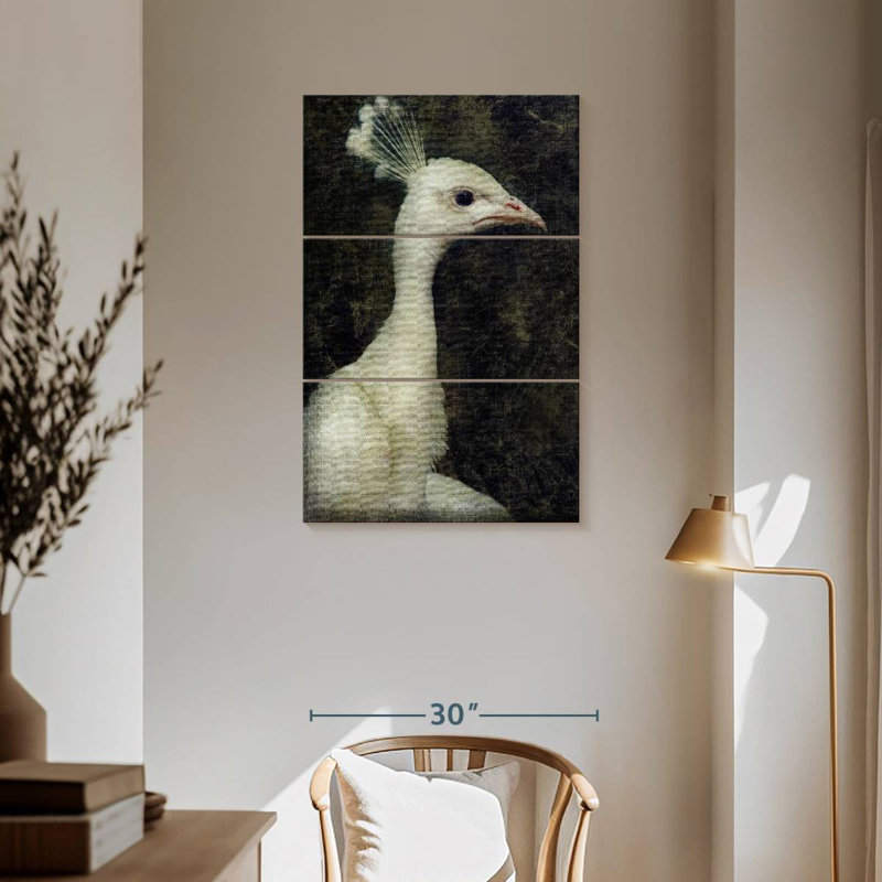 Paon blanc Brampt, H 57 po x l 36 po