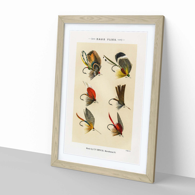 Bass Fishing Flies Versions 8 by Mary Orvis Marbury - Picture Frame Painting Print, 87cm H x 62cm W x 2cm D, Oak Framed