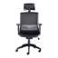 Hinton Polyester Blend Office Chair with Headrest