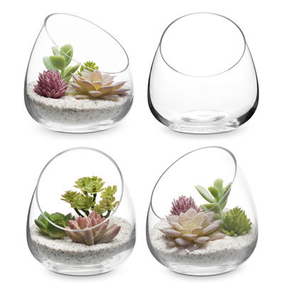Mini terrarium en verre Jaymin