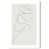 Toile tendue