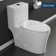 Water Saving 0.8/1.28 GPF Dual-Flush Elongated One-Piece Toilet with ADA Height, White