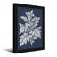 Plantes et fleurs, motif de feuilles botaniques en style monochrome-121735459-121735457-121735458