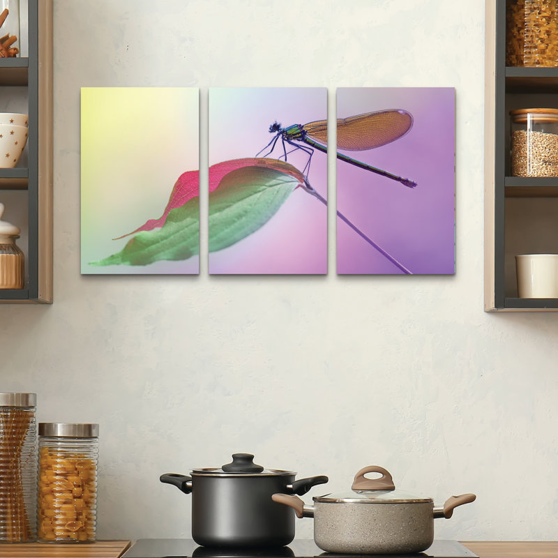 3 Panel Wall Art Set - Fabrizio Daminelli 'Calopteryx Splendens' Canvas Wall Art for Living Room, Bedroom, or Office Decor by 