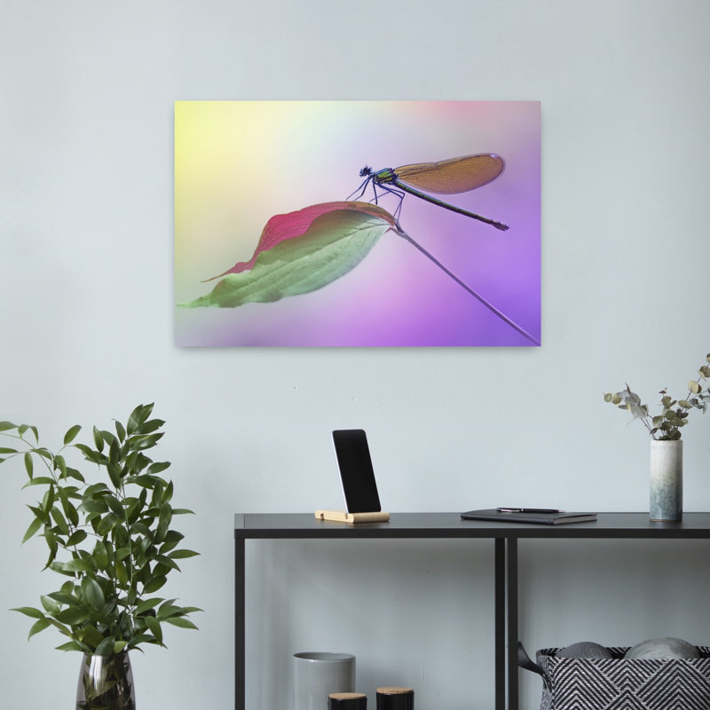 Delicate Damselfly On Leaf Colorful Delicate Peaceful Dragonfly Nature Wildlife Wall Art Print by Fabrizio Daminelli - Print