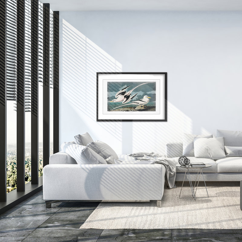 Nature Inspired Tropic Bird From Birds Of America (1827), 16" H x 24" W