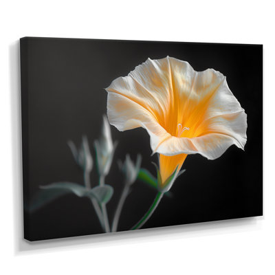 «White Yellow Whimsical Wonders Morning Glory - Morning Glory», reproduction d'art murale