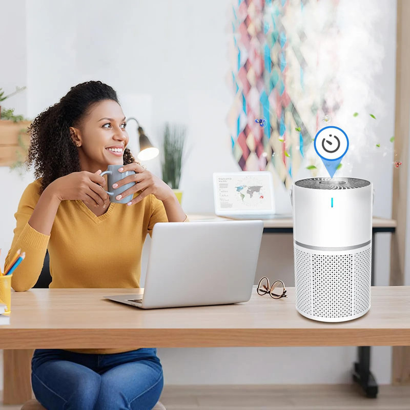 Oakerly Air Purifiers